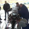 malle017