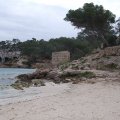 malle065
