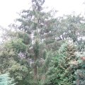 IMG_1886