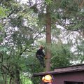 IMG_1891