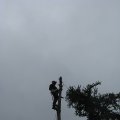 IMG_1909
