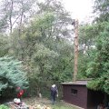 IMG_1911