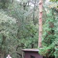 IMG_1913
