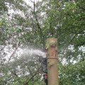 IMG_1917