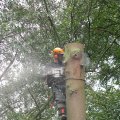 IMG_1918
