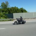 Tirol (553)
