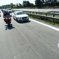Tirol (559)