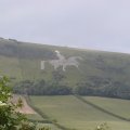 England (41)