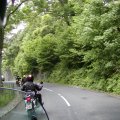 England (51)
