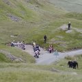 England (59)