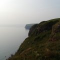 England (93)
